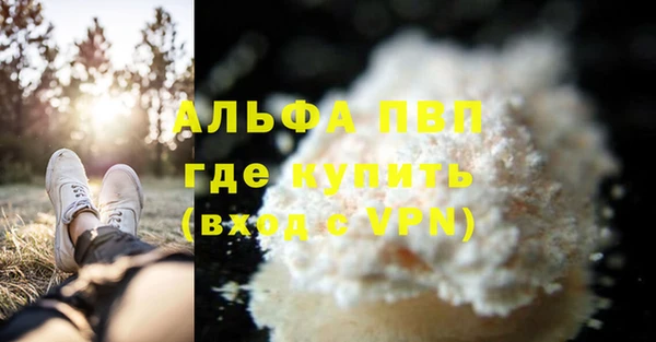 СК Абаза