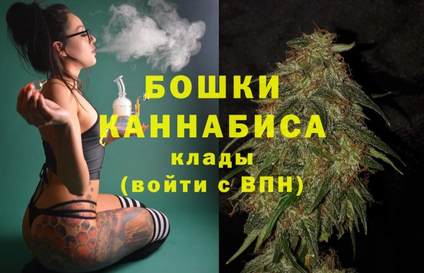 МДПВ Рославль