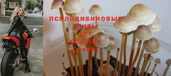 СК Абаза