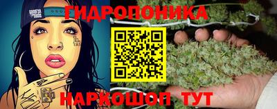 spice Бугуруслан