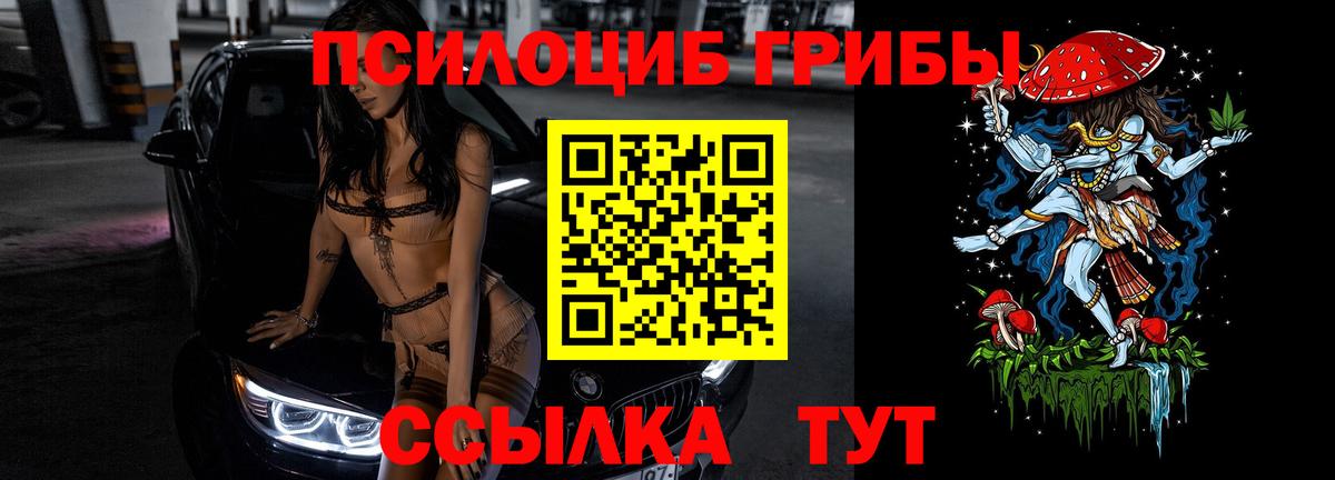 Галлюциногенные грибы Psilocybine cubensis  Вход с VPN  цена   Псилоцибиновые грибы GOLDEN TEACHER  Балахна 