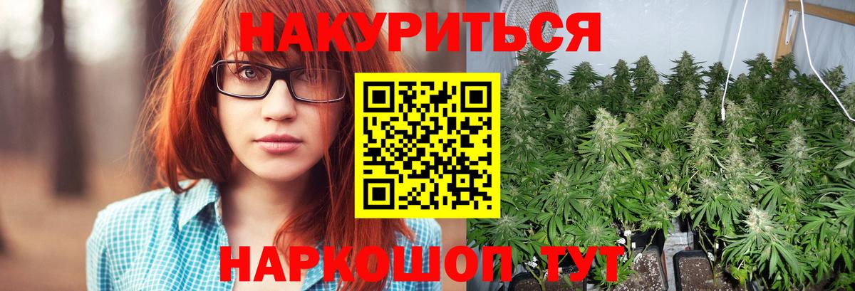 Каннабис конопля Балахна